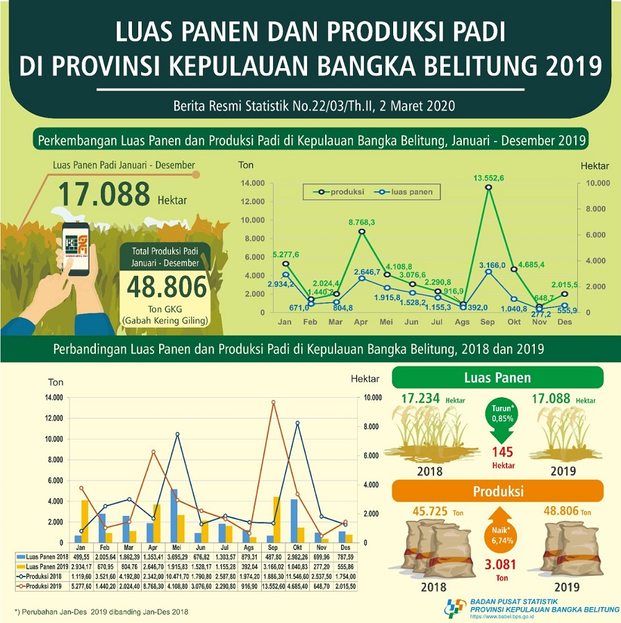 Luas Panen Dan Produksi Padi Kepulauan Bangka Belitung Tahun 2019 ...